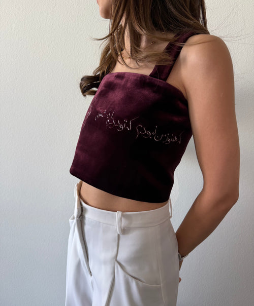 Del Velvet Crop Top